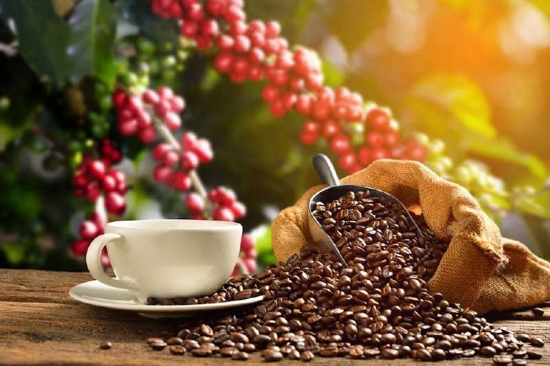 coffee freshness