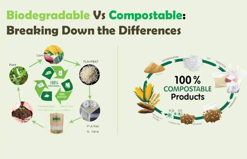 biodegradable and compostable material process